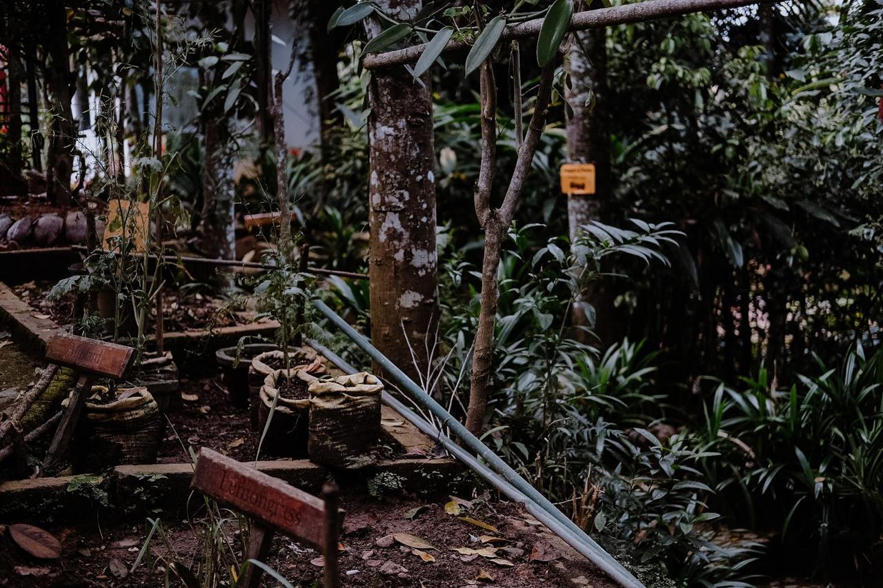 WhatsApp Image 2025-01-24 at 5.46.41 AM (11)